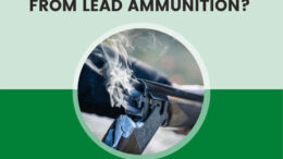 Are-you-moving-away-from-lead-ammunition